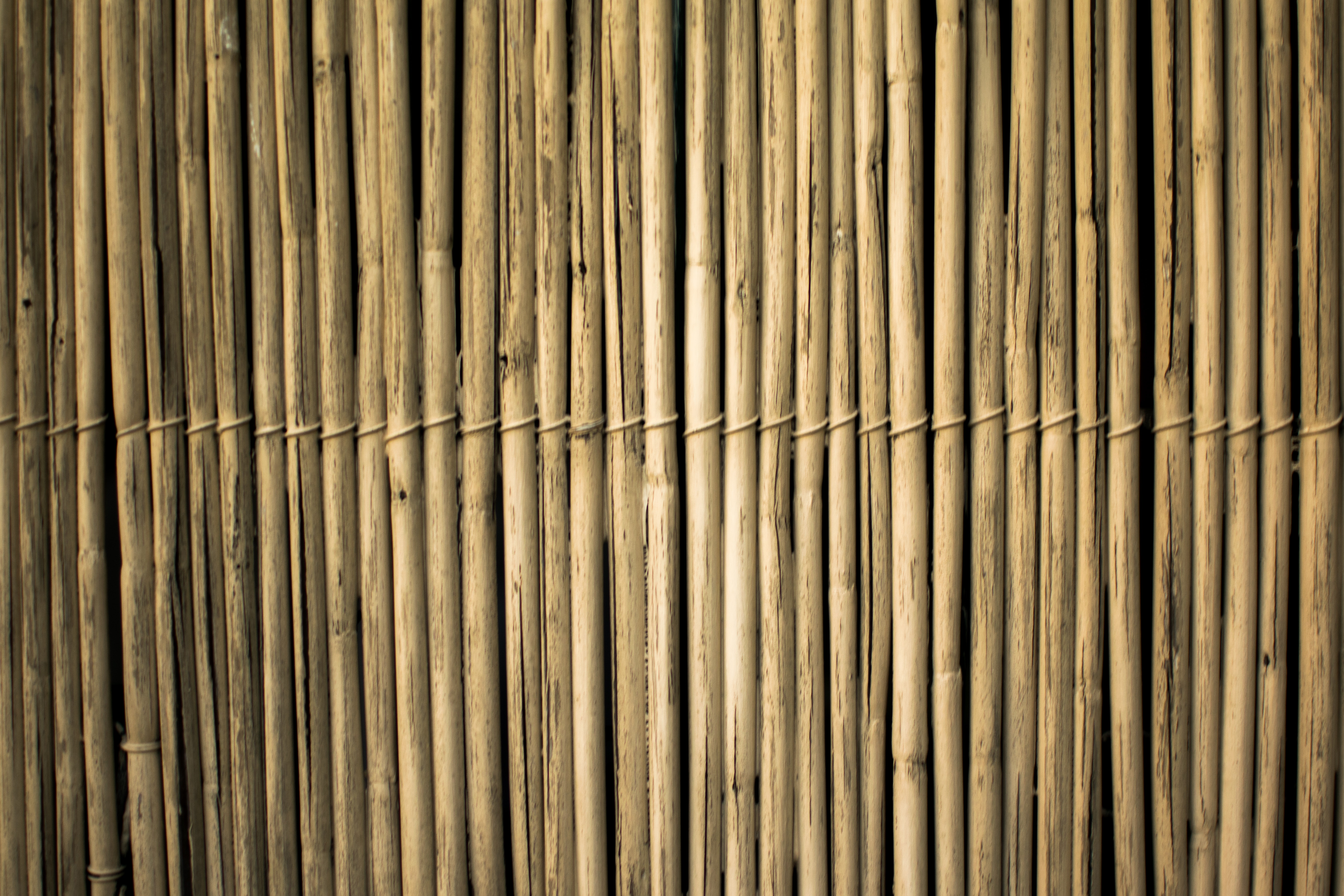 Thoughts on Building Materials