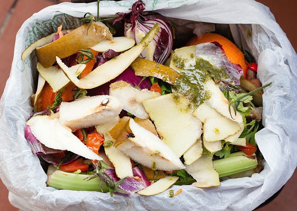 Biodigester ingredients include food scraps