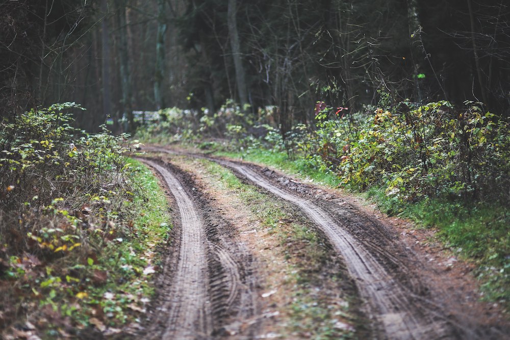 5 Awesome Electric Vehicles for your off-grid build in 2020