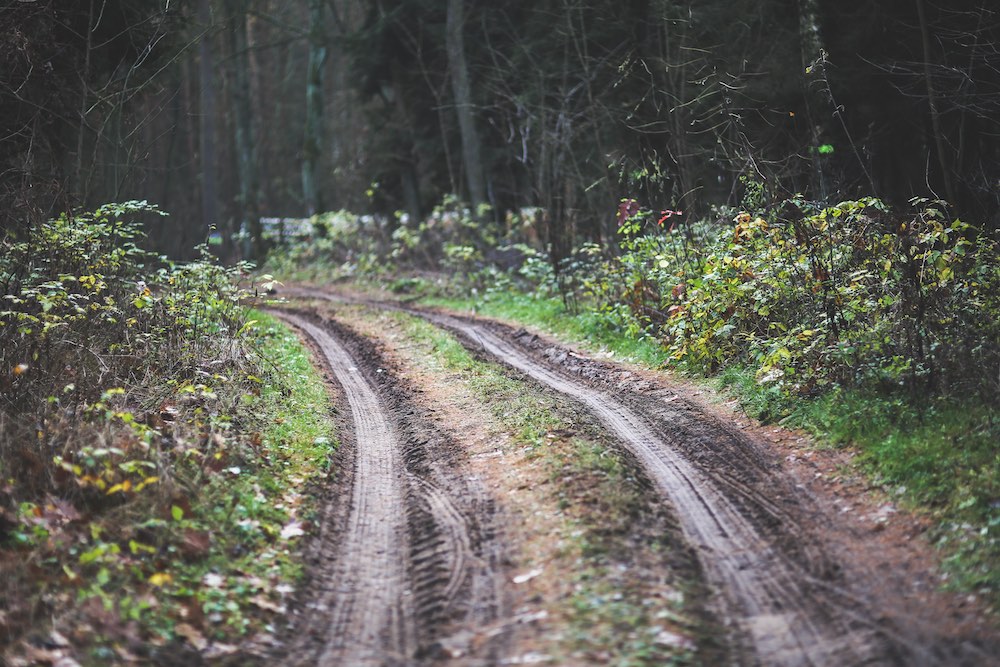 Off-road Electric Vehicles