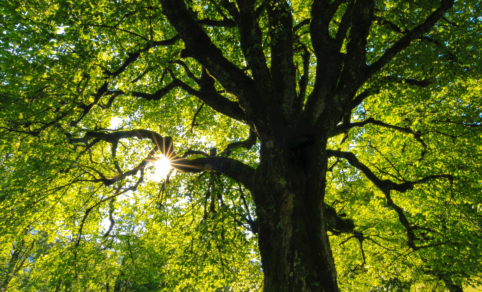 6 Excellent Off-Grid Cooling Ideas